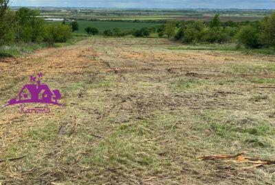 Teren extravilan zona Episcopia - 3