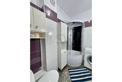 Apartament cu 2 camere semidecomandat, mobilat în Giurgiului - 11
