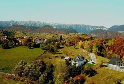 Casă individuală cu 5 camere cu Teren 3400 Mp în Peștera - 5