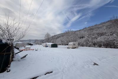 Teren de 6000 mp, în Moroeni - 3