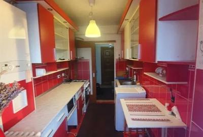 Apartament cu 2 camere decomandat în Podu Roș - 8