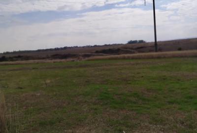 Teren de 800 mp, în Malu Mare - 5