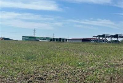 RECO Teren intravilan  industrial 6502 mp langa centura Biharia - 1
