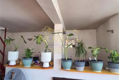 Casă cu Teren 1240 Mp în Oituz - 17