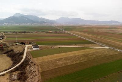 Teren de 5500 mp, în Tărlungeni