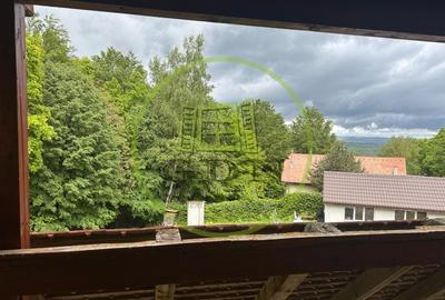 Duplex deosebit cu vedere panoramica spre munti si padure – Tocile, Sadu - 16