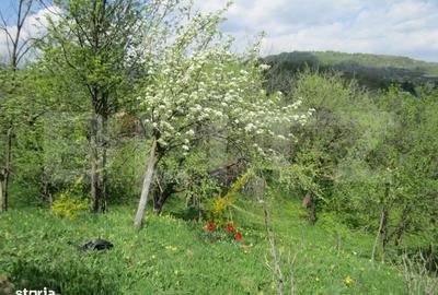 Teren de 884 mp, în Runcu - 2