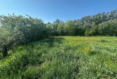 Casa Individuala Ozun Covasna teren 3200 mp - 9