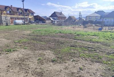 Casă cu Teren 1335 Mp în Săvinești - 5