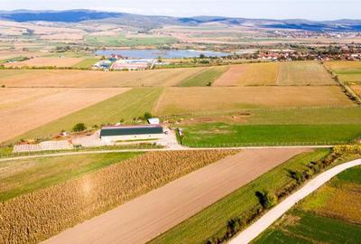 FILM! 18.000 mp,extravilan,agricol constructii, recomandat:f - 3