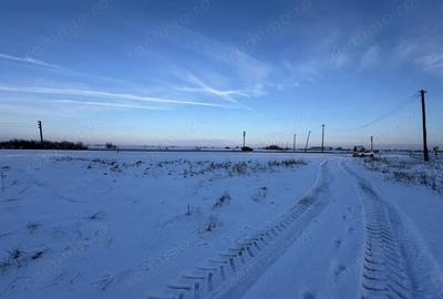 Teren de 18000 mp, în Becicherecu Mic - 5