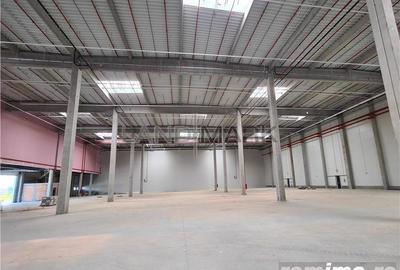 Hala industrialaTimisoara , 2500 mp, Calea Lugojului - 8