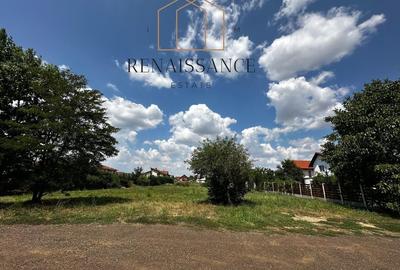 Dumbravita Teren Intravilan 1466mp Front 29m | Langa Padure - 5