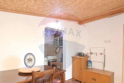 Teren 1944 mp + Casa - 65 mp, Darasti-Vlasca Giurgiu/ 20 ... - 11