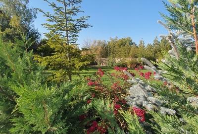 Vila de Lux în Pipera – Ideală pentru Hotel, Școală, Grădiniță sau Reședință Vila de Lux în Pipera – Ideală pentru Hotel, Școală, Grădiniță sau Reședință - 5