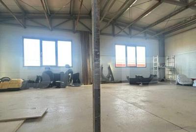 Hala de vanzare 365 mp, Mosnita Noua! - 4