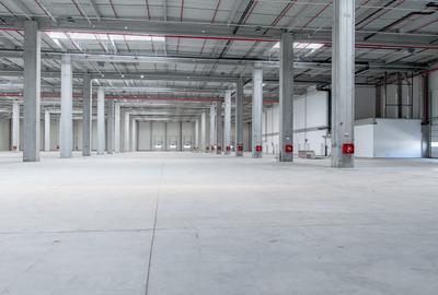 Depozit Hala Autorizata ISU 600 mp -15000 mp Depozit Hala Autorizata ISU 600 mp -15000 mp - 6