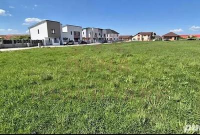 TEREN INTRAVILAN CARANSEBEȘ\JUD. CARAȘ-SEVERIN TEREN INTRAVILAN CARANSEBEȘ\JUD. CARAȘ-SEVERIN - 3