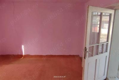 Casă cu 3 camere în Parța