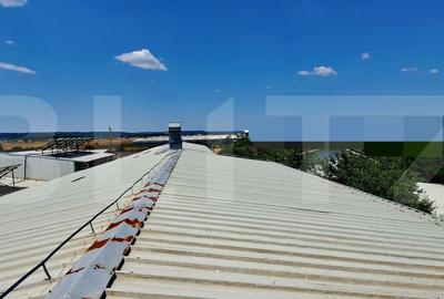 Spațiu industrial, de 980 mp, în Romanești - 10