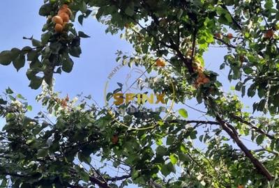 Casă individuală cu 5 camere cu Canalizare în Giulești - 39