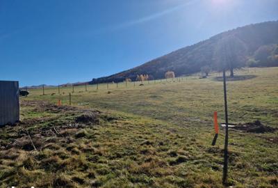 Teren de 3050 mp, în Orlat - 2