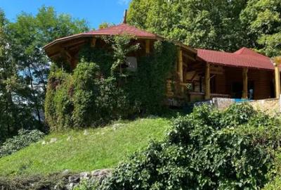 Casă cu 7 camere cu Teren 17000 Mp în Cărbunari - 11