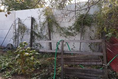 Casă cu 3 camere cu Teren 250 Mp în Petros - 4