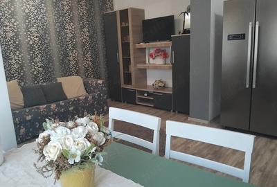 Apartament cu 2 camere decomandat în Crihala - 5