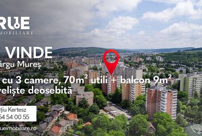 Apartament cu 3 camere decomandat, mobilat în 1848 - 1