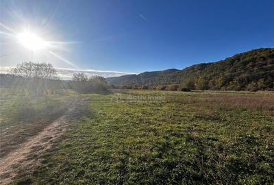 Bocsa Teren Intravilan 2754 Mp. - 4