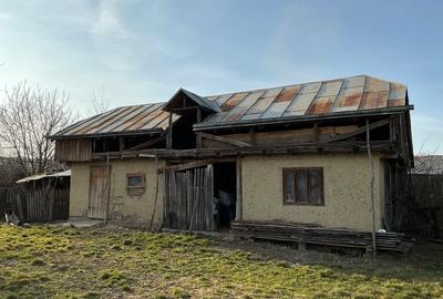 Teren Construcții intravilan de 5000 mp, în Sirețel - 5