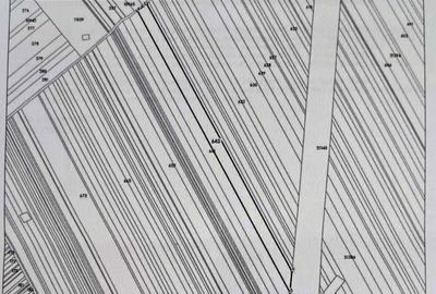 Teren de 12303 mp, în Valea Mare - 3