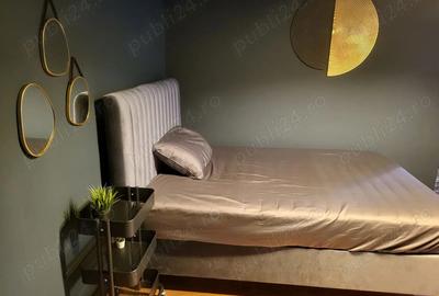 Garsoniera premium de inchiriat Drumul Taberei 37 - 3