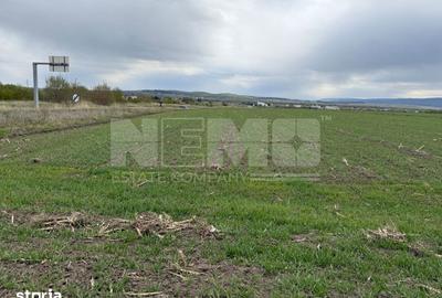 Teren de 5063 mp, în Central - 6