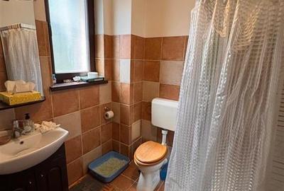 Vanzare vila P+1+M | Popesti Leordeni - Viilor | teren 226 mp | - 22