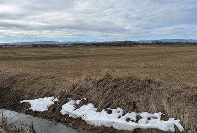 Teren agricol extravilan de 3900 mp, în Central - 3
