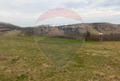 Teren Construcții de 3400 mp, în Crișeni - 4