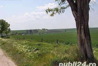 Teren de 45000 mp, în Central - 6