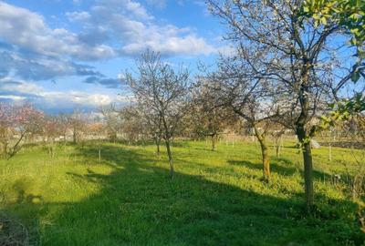 Casă cu 4 camere în Seleuș - 4