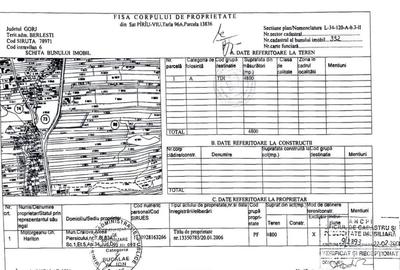 Teren de 18480 mp, în Berlești - 1