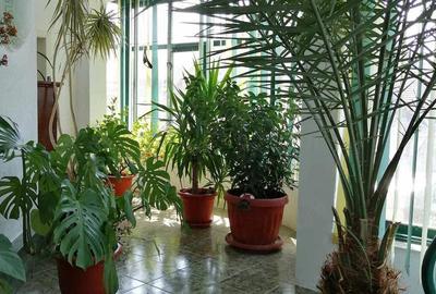 Casă cu Teren 286 Mp în Central - 17