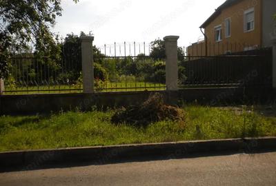 Parcela casa Lipovei 560 mp