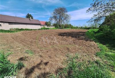 Teren de 1180 mp, în Săucești - 6