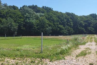 Grosi, zona Regal, 8+8 ari teren - 6