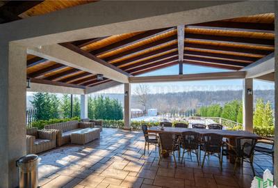 Casă cu 7 camere cu Teren 2854 Mp în Brănești - 18