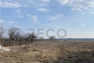 RECO Teren intravilan in Apateu 4200mp - 1