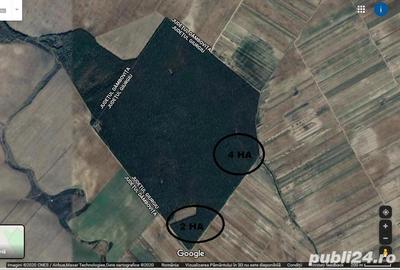 Teren de 6 mp, în Sadina - 5