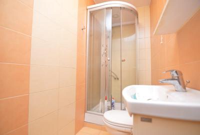 INCHIRIERE APARTAMENT 3 CAMERE TINERETULUI - PARCUL TINERETULUI INCHIRIERE APARTAMENT 3 CAMERE TINERETULUI - PARCUL TINERETULUI - 24