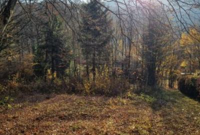 Teren de 400 mp, în Catalina